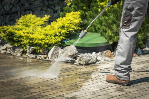 Animal Enclosure Cleaning in Pantops, VA