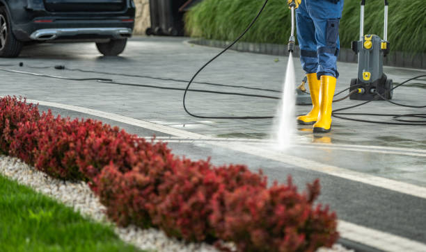 Best Patio and Deck Pressure Washing  in Pantops, VA